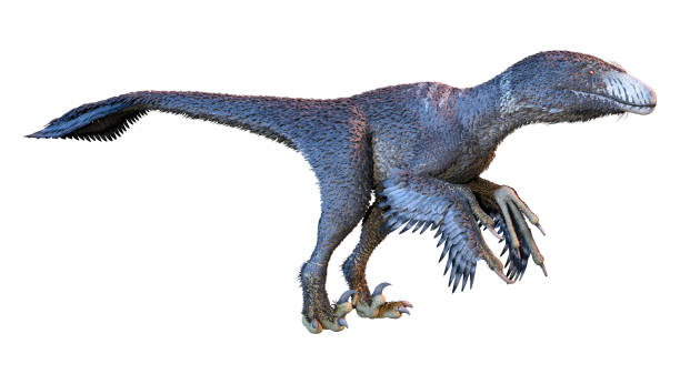 istock 3D Rendering Dinosur Dakotaraptor on White 1388590841