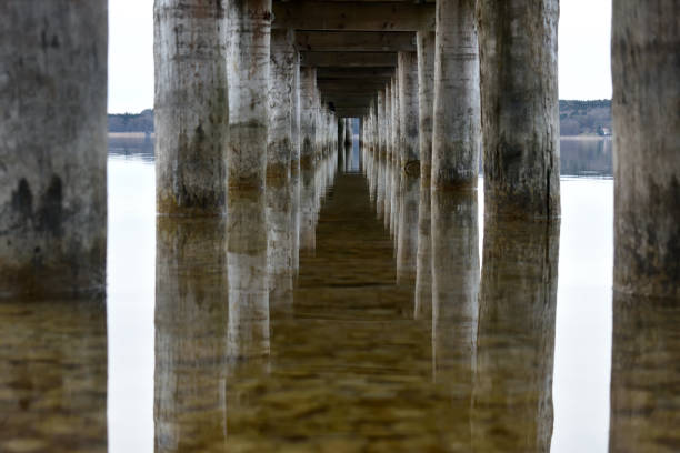 istock boardwalk mirroring in the water 1388591239