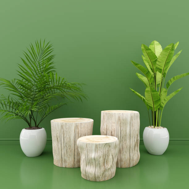 istock Wood podium display for product presentation, 3D rendering 1388597849