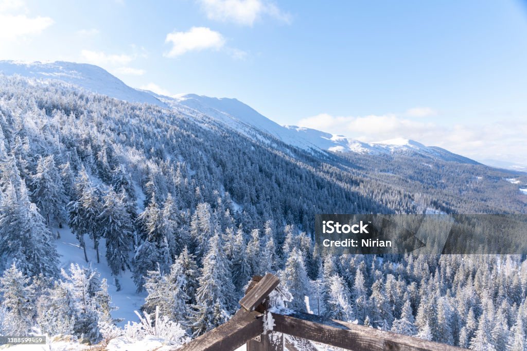 Winter landscape in Zywiec Beskids Winter panorama of Babia Góra mountain. A beautiful sunny winter day. Mountain Stock Photo