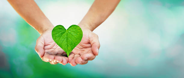 istock Hands holding heart shape green leaf on blurred light nature 1388600427