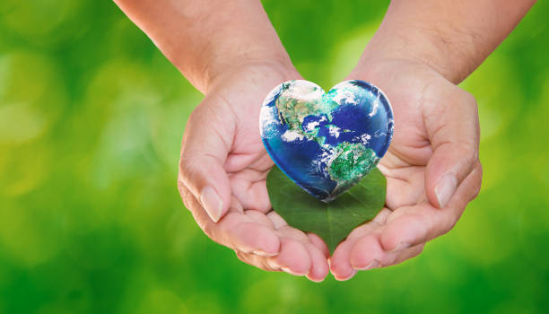 istock Hands Holdign Earth Heart on Green Leaf in Blurred Nature 1388600433