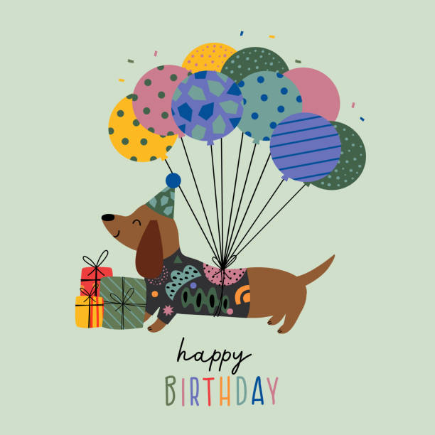 geburtstagskarte mit lustigen dackeln und geschenken - dachshund dog stock-grafiken, -clipart, -cartoons und -symbole