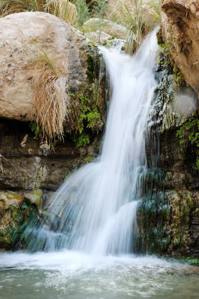 istock Streams and waterfalls Nature Reserve Ein Gedi 1388603132