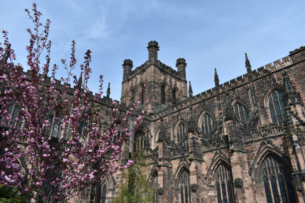close up of chester cathedral on a sunny day in springtime with a pink cherry blossom tree in the foreground and  a deep blue sky in the background - uk cathedral cemetery day imagens e fotografias de stock