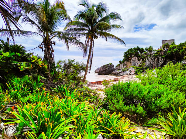 istock Amazing nature view with plants, rocks, palms and sea 1388605555