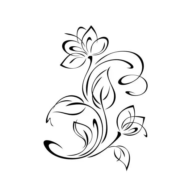 Vector illustration of ornament 2246