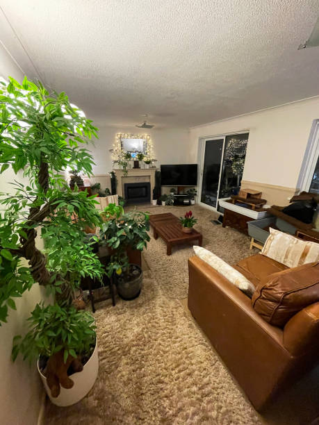 Stock photo of modern lounge sitting room home interior with brown leather sofas, fake artificial house plants, bamboo, plastic silk palms, coffee table, contemporary stylish room in house south facing sunny garden, gas fire, TV stand pedestal. imagen de la sala de estar de salón moderno interior con sofás de cuero marrón, falsas plantas artificiales de la casa, bambú, palmeras de seda plástica, mesa de café, habitación elegante contemporánea en casa jardín soleado orientado al sur, fueg