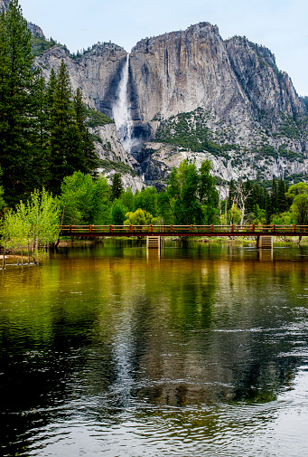 Yosemite Falls in the Spring which is the highest waterfall in North America. Yosemite National Park, California.  Merced River.