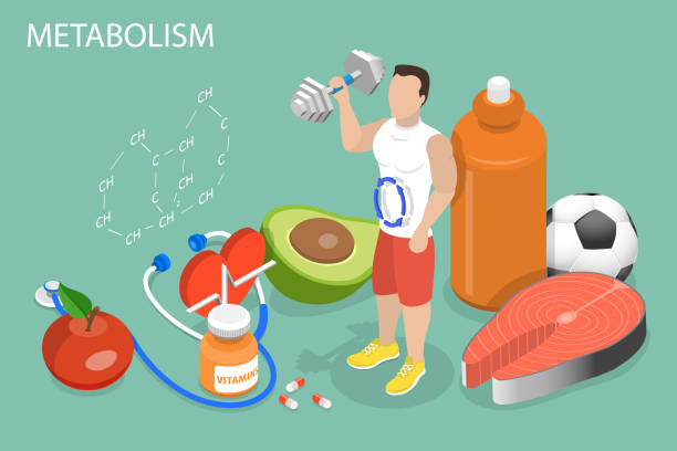 ilustrações de stock, clip art, desenhos animados e ícones de 3d isometric flat vector conceptual illustration of metabolism boosting - energia reativa