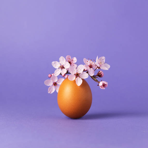 Beautiful Easter aesthetic idea with standing yellow egg decorated with fresh cherry blossoms on top. Minimal square spring design.