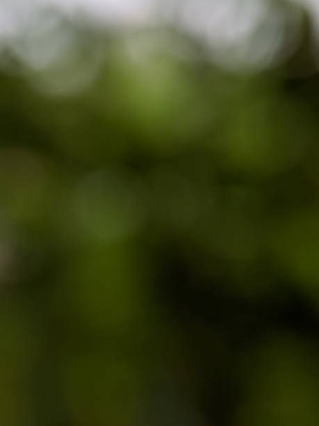 istock defocus, photo green background 1388610658