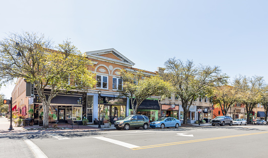 Inman, SC - August 7, 2022: Downtown, shallow focus on the close leaves of a beautiful flowering bush. Quaint shops beyond. Perfect, typical small, southern town.