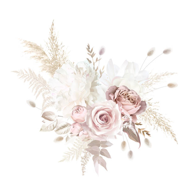 Boho beige and blush trendy vector design bouquet. Boho beige and blush trendy vector design bouquet. Pastel pampas grass, ivory peony, creamy magnolia, dusty pink rose, lagurus, dried leaves. Wedding blush floral. Elements are isolated and editable Dried Plant stock illustrations