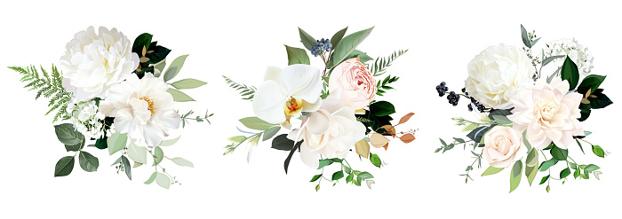 Blush pink roses, hydrangea, orchid, white peony flower big vector design bouquets. Rustic wedding greenery. Beige, emerald green, white. Watercolor style collection.Elements are isolated and editable