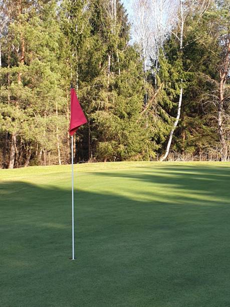 istock Golf course near at the edge of the forest 1388616206