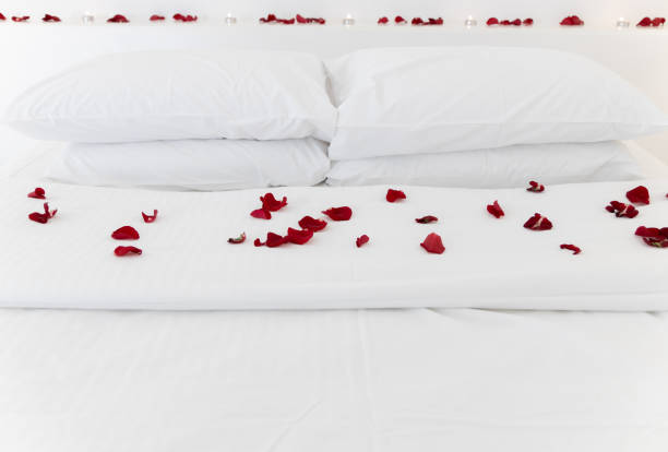 istock Rose petals on a white bed front view wide landscape 1388619649