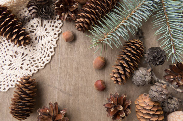 istock Pine cones and nuts, valnuts on a wooden background 1388620391
