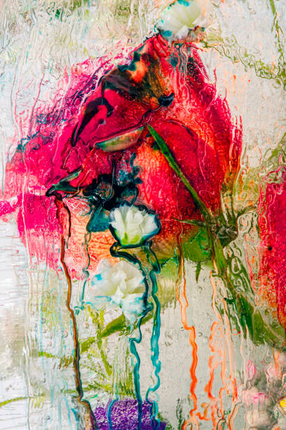 istock Abstract Rose in Ice With Melting Colors 1388620661
