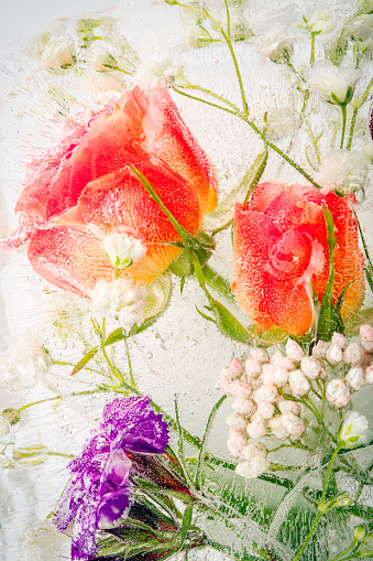 A macro image of flowers frozen in water.