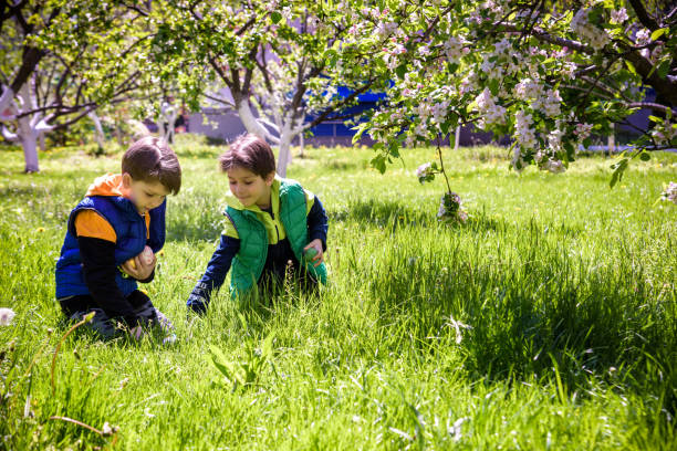 Free Stock Photo of Spring Kids Represents Springtime Youngsters And ...