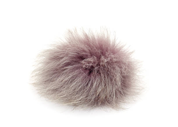 istock A ball of fur. 1388630141