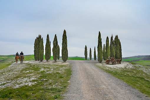 Cypress Route of San Quirico d'Orcia