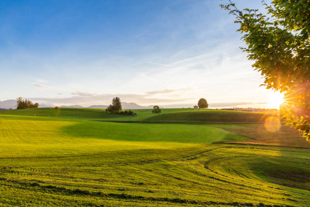 알프스의 아름다운 햇볕이 잘 드는 풍경의 탁 트인 전경과 신선한 녹색 초원 - allgau field landscape bavaria 뉴스 사진 이미지