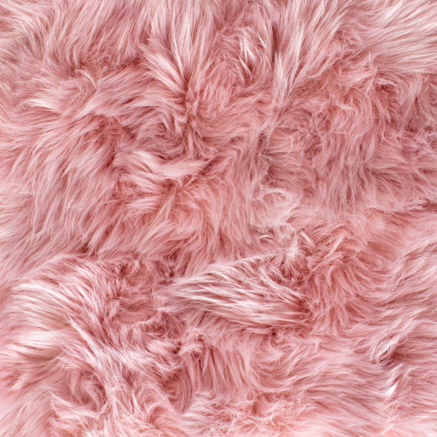 Light pink long fiber soft fur. Pastel background or texture. Fuzzy shaggy blanket. Fluffy fake textile. Flat lay, top view, copy space. Light pink long fiber soft fur. Pastel background or texture. Fuzzy shaggy blanket. Fluffy fake textile. Flat lay, top view, copy space. shaggy fur stock pictures, royalty-free photos & images