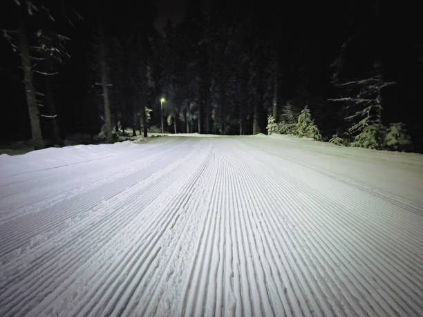 istock Cross country ski track seen at night 1388639095