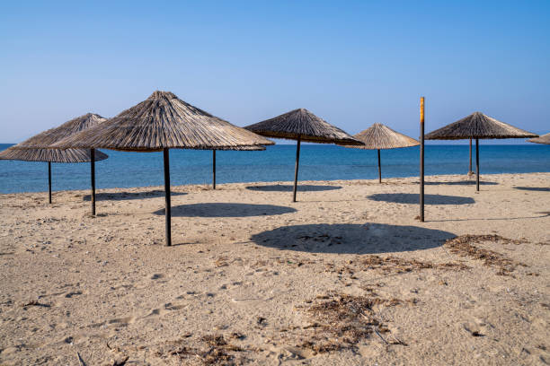istock Parasols on empty beach before summer  in Aegean cost, Turkey 1388639371
