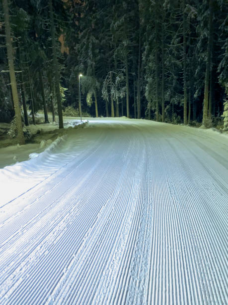 istock Cross country ski track seen at night 1388639382