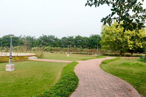 Asphalt footpath in public garden