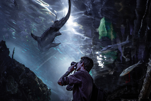 Young man photographing a fish in an aquarium