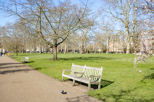 Park Bench at St James's Park in City of Westminster, London