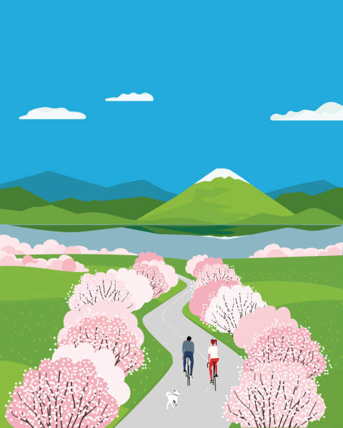 Mountain lake valley and blooming cherry landscape Mountain lake valley with blooming sakura landscape. Blooming cherry season outdoor activity vector poster. Springtime landscape background. Sport activities in sakura blossoms season illustration spring flower mountain landscape stock illustrations