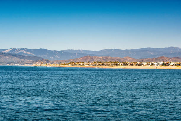 Shorebirds on wet sand at Venice Beach, with people walking and a distant view of mountains, creating a serene coastal atmosphere.