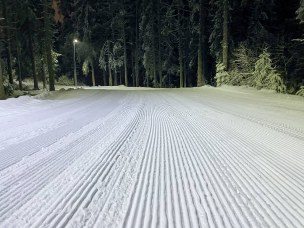 istock Cross country ski track seen at night 1388646101