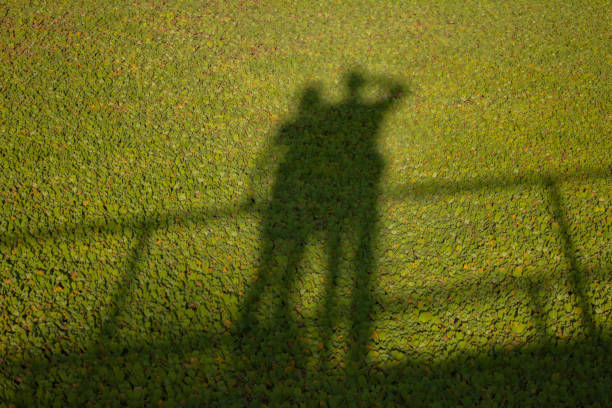 istock Photographer In Action 1388647509