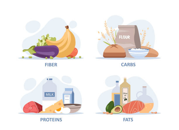유용한 다량 영양소 세트 - carbohydrate stock illustrations