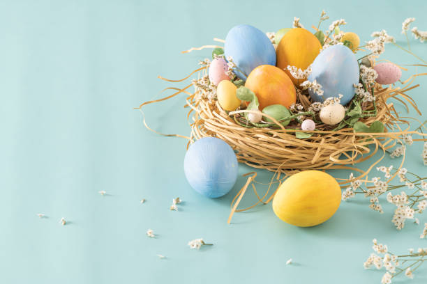 пасхальные синие и желтые яйца в гнезде - easter nest стоковые фото и изображения