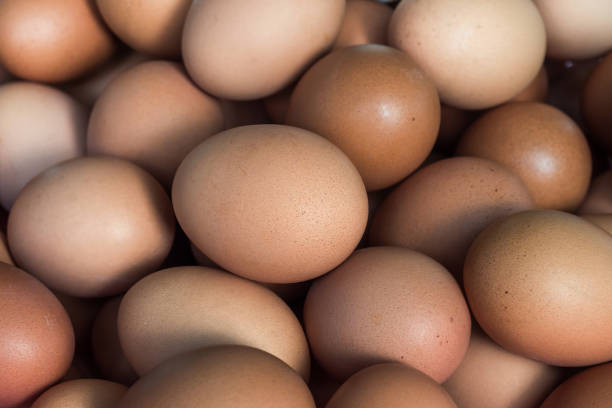 istock pile of eggs with soft focuse on behind 1388662431