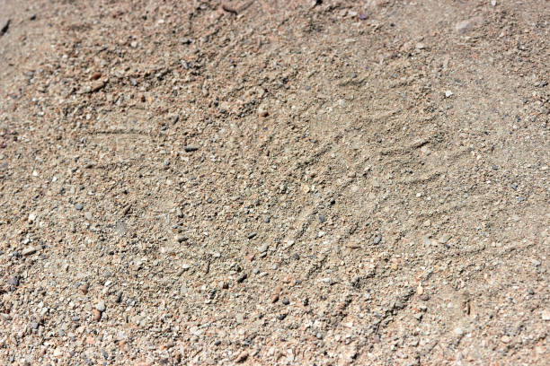 istock Tire prints on grey sandy road. 1388666619