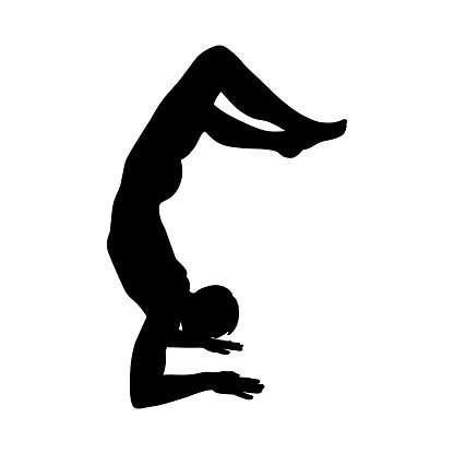 Yogi man in handstand scorpion pose or vrschikasana. Yoga hand stand for strength improvement. Vector illustration isolated in white background