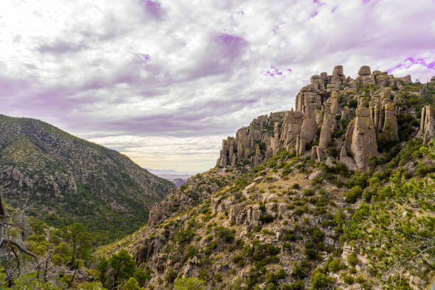 A view of the harsh landscape along the echo canyon hiking trail in the Chiricahua Mountains of Arizona