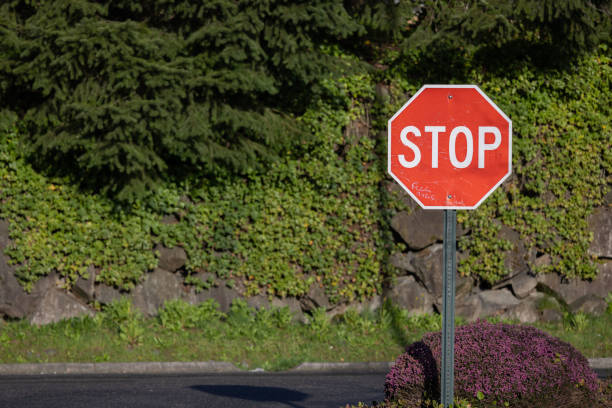 istock Stop Sign in front of Purple Bush with a Green Backdrop 1388680015