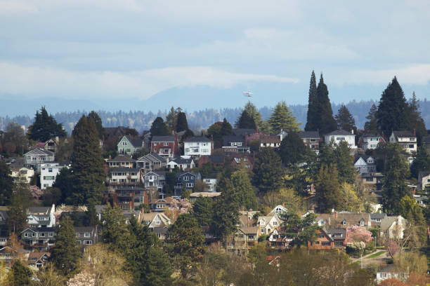 Houses and trees on a hill with overcast day and plane flying overhead by Union Bay, Seattle