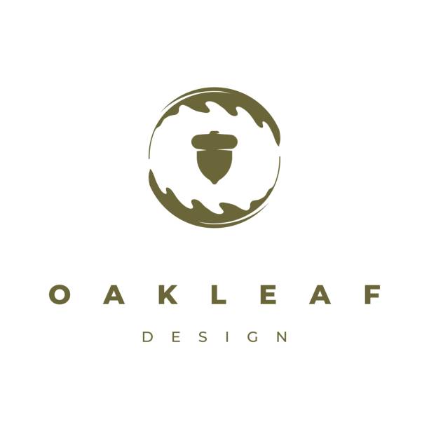 ilustrações de stock, clip art, desenhos animados e ícones de oak leaf icon - oak leaf leaf oak tree spring