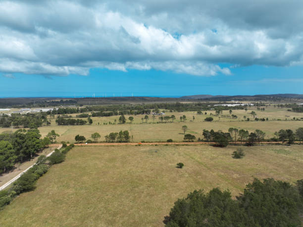 istock Aerial view of grazing fields 1388689393