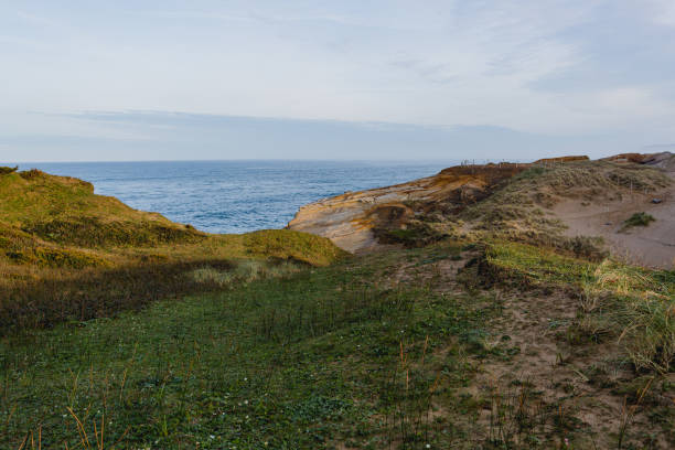 istock Oregon Beaches and Scenic Coastlines 1388692989